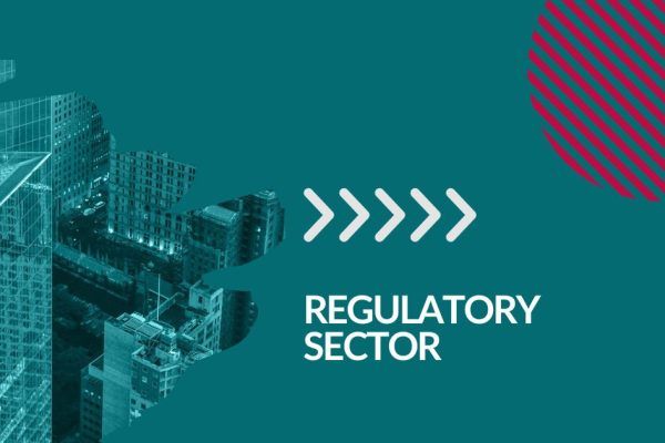 FTI Treasury Case Study Regulatory Sector