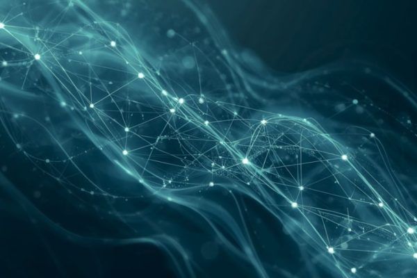 Inter-Company Loans Under Scrutiny